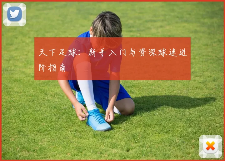 天下足球：新手入门与资深球迷进阶指南