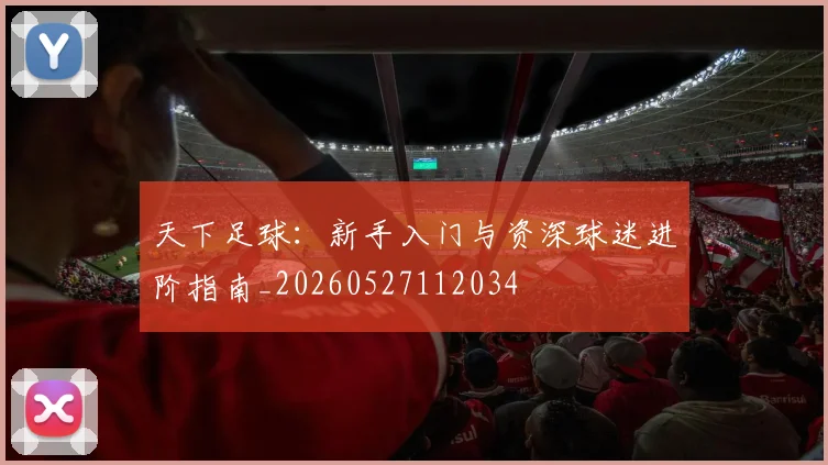 天下足球:新手入门与资深球迷进阶指南_20260527112034
