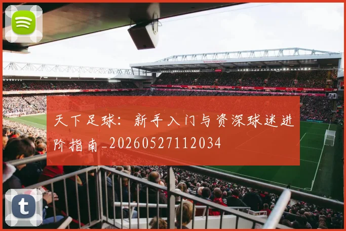 天下足球：新手入门与资深球迷进阶指南_20260527112034