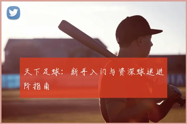 天下足球:新手入门与资深球迷进阶指南